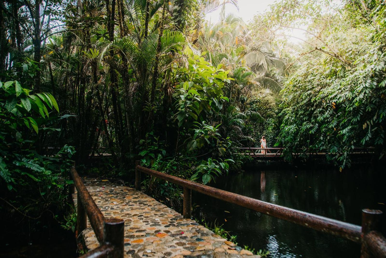 Arahuana Jungle Resort & Spa Tena Dış mekan fotoğraf