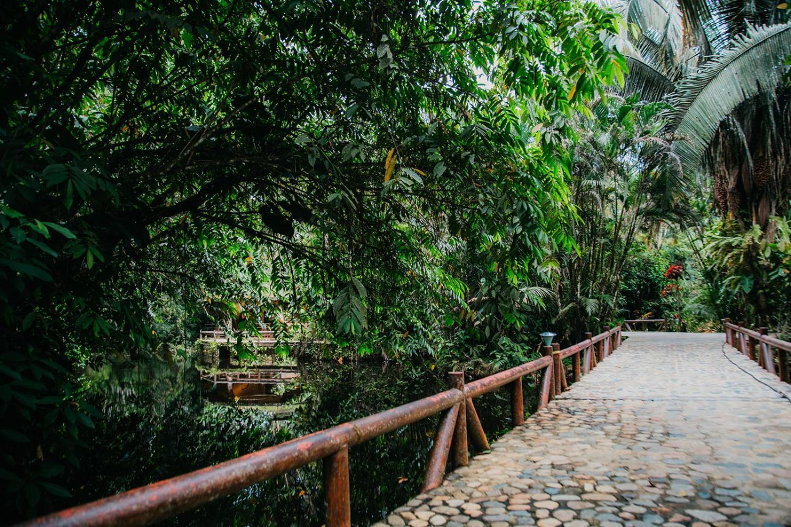 Arahuana Jungle Resort & Spa Tena Dış mekan fotoğraf