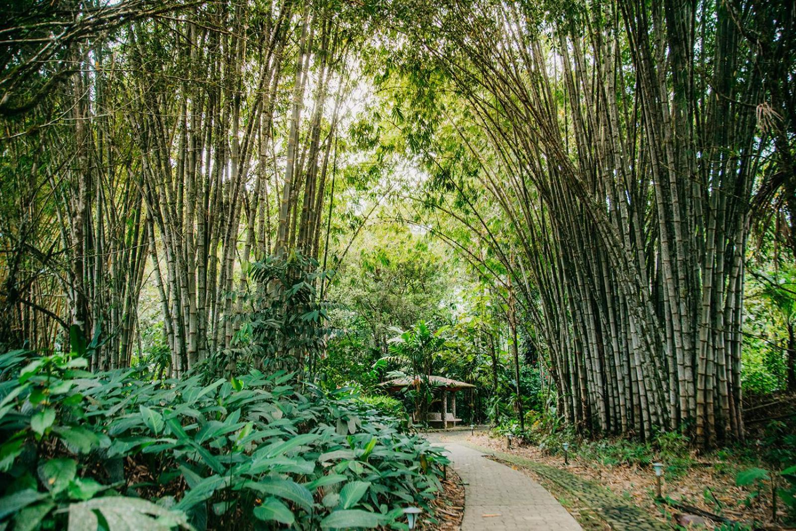 Arahuana Jungle Resort & Spa Tena Dış mekan fotoğraf