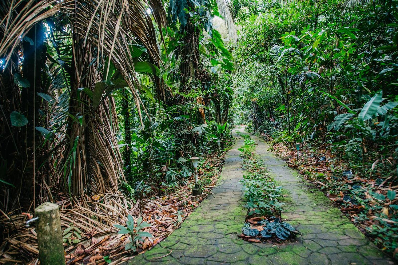Arahuana Jungle Resort & Spa Tena Dış mekan fotoğraf