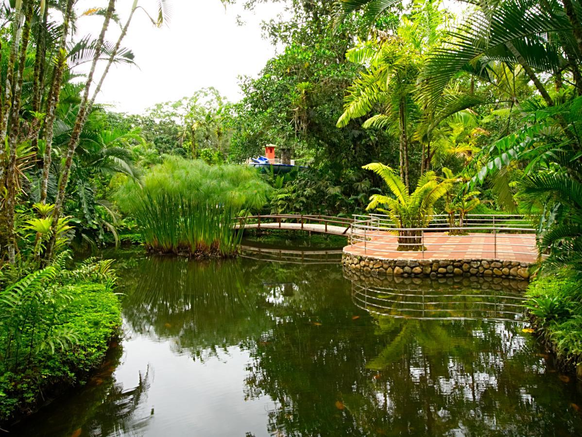 Arahuana Jungle Resort & Spa Tena Dış mekan fotoğraf